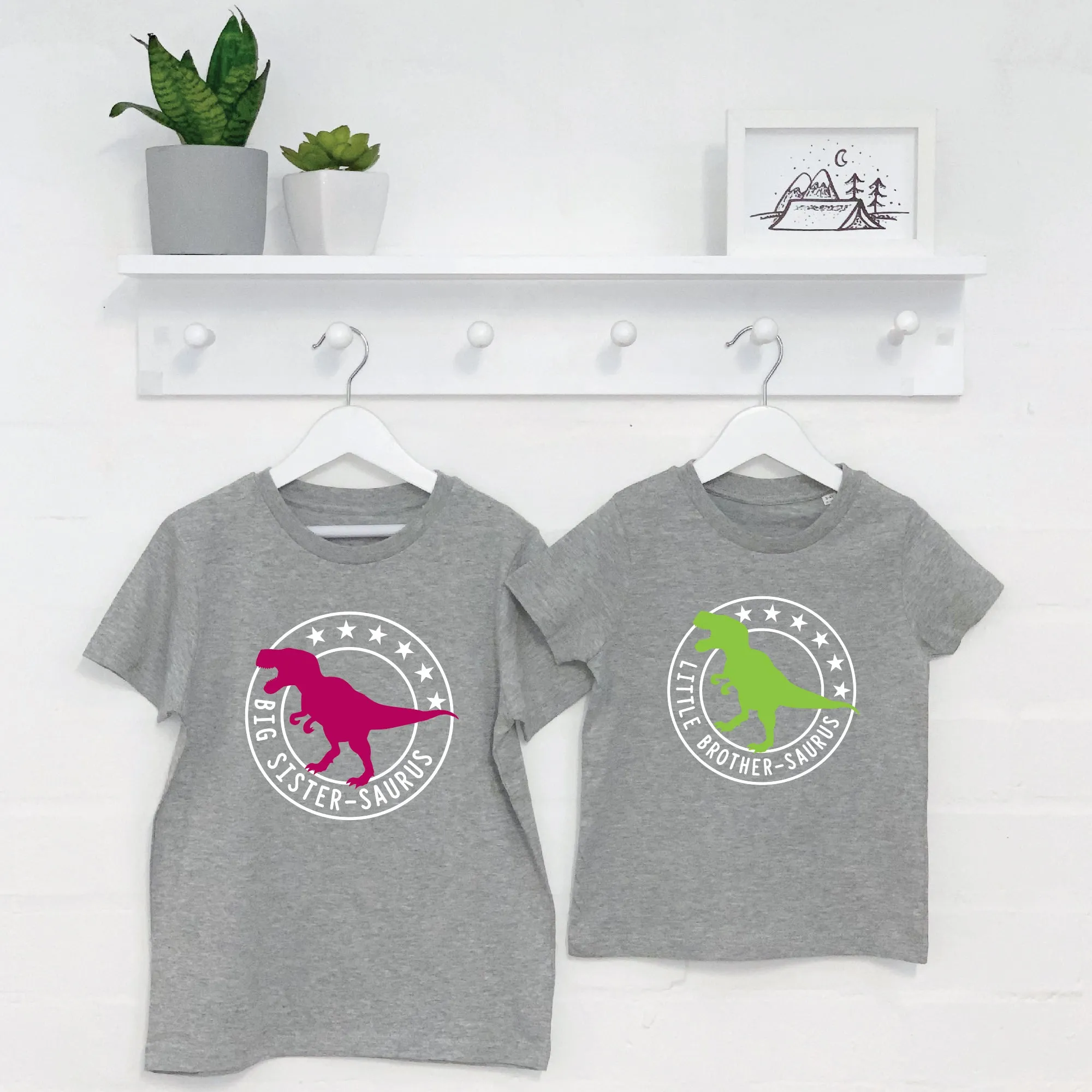 Brother Sister Dinosaur Sibling T Shirt Set